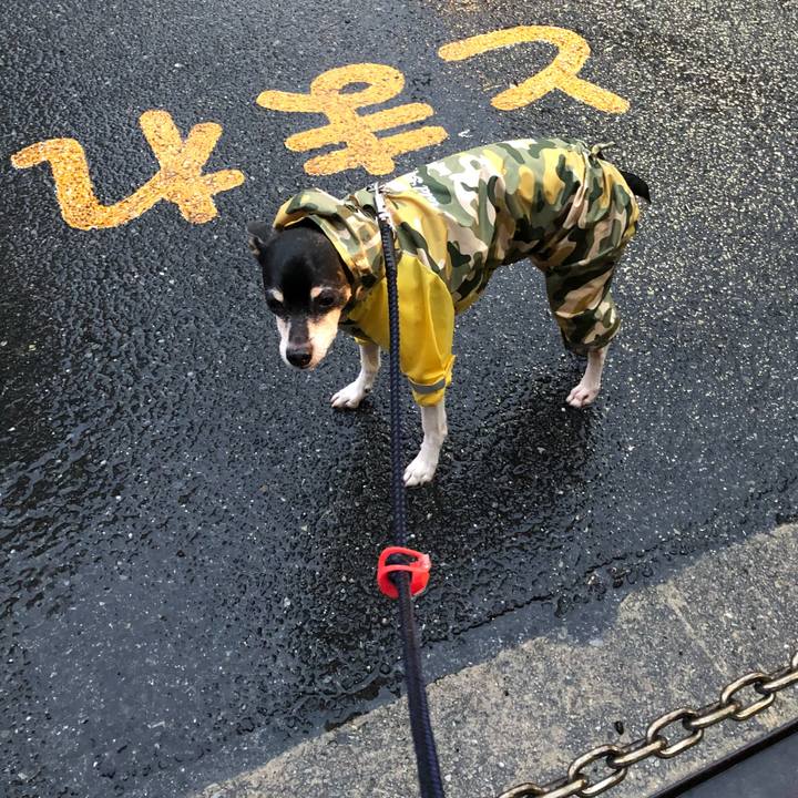 De7ef399 65e2 4d9d aafa 0f8dda2f45b5 1521151782012