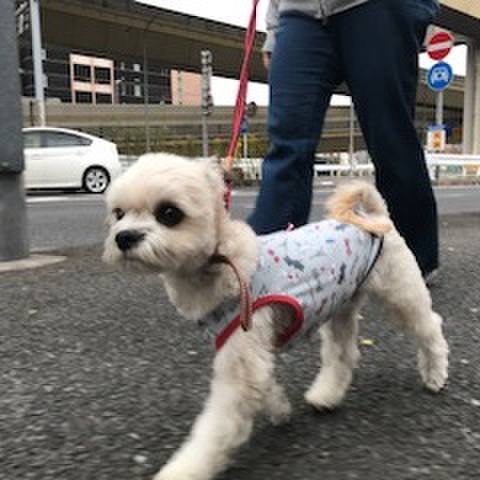 De7f32d4 f5ad 4d42 a167 35ee9597b910 1512044104118