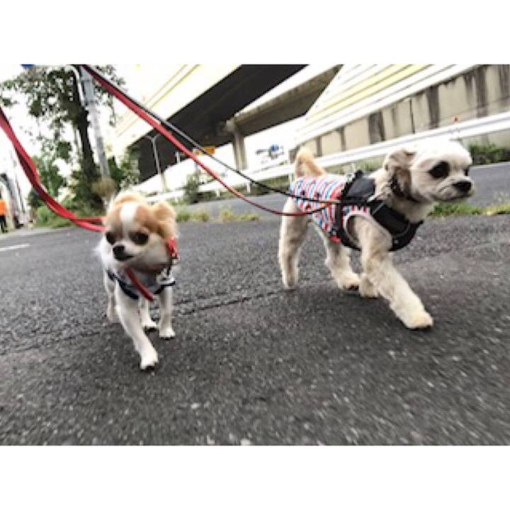 De7f6862 7f77 4534 9bbd 7d7ecf2f58e1 1568288238120