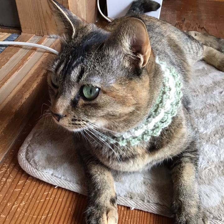 De7f7ae1 666b 475f b02d 47828ca5ec5e 1646814363780