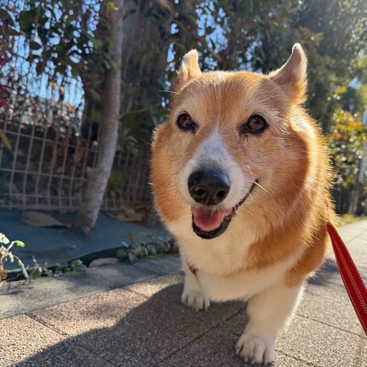 De7fbef8 4ea6 4882 991a 8edf53815745 1769137711700