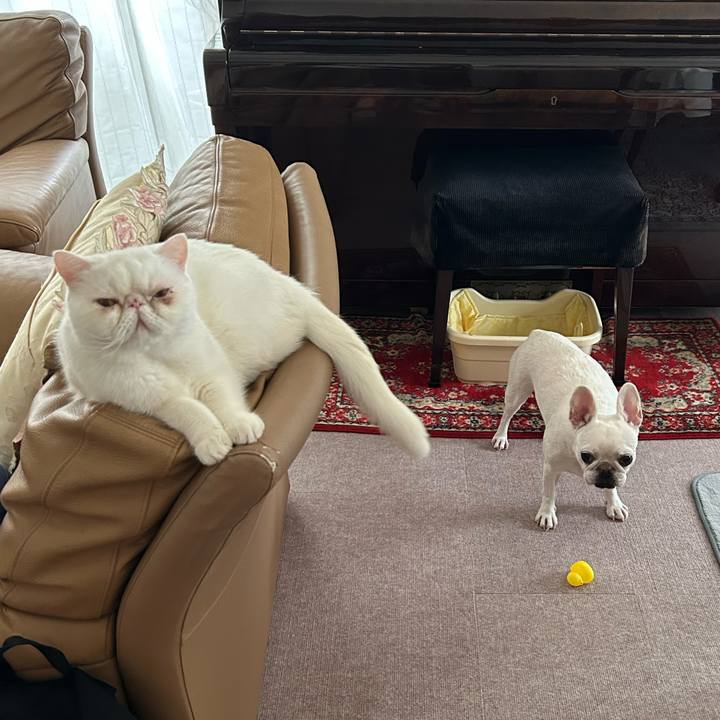 De8021ba fa24 4251 bbd0 709f48c98ce1 1695375701065