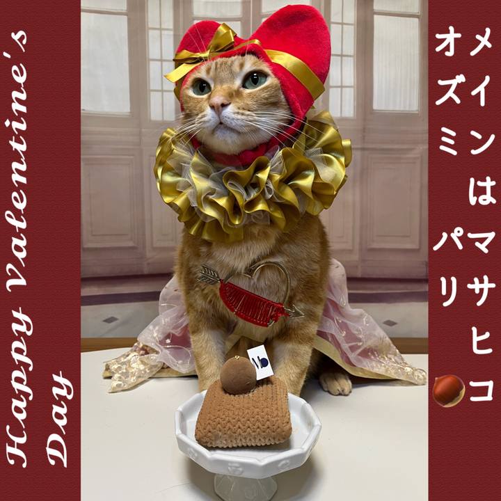 De8048ba b386 4907 8045 7f2eba68c779 1675805667734