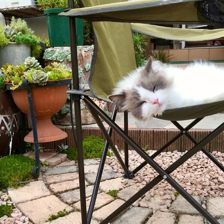 De8051e1 cd04 46f9 9d67 bed2f5717bfe 1624840639232