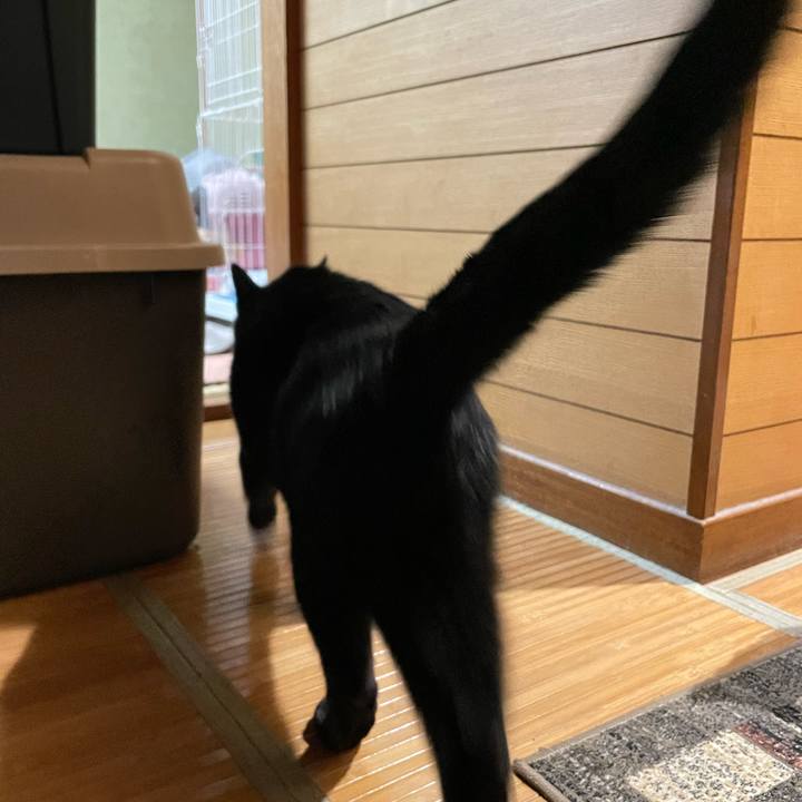 De80690e 2723 48d1 a751 8b7493de584c 1646014229163