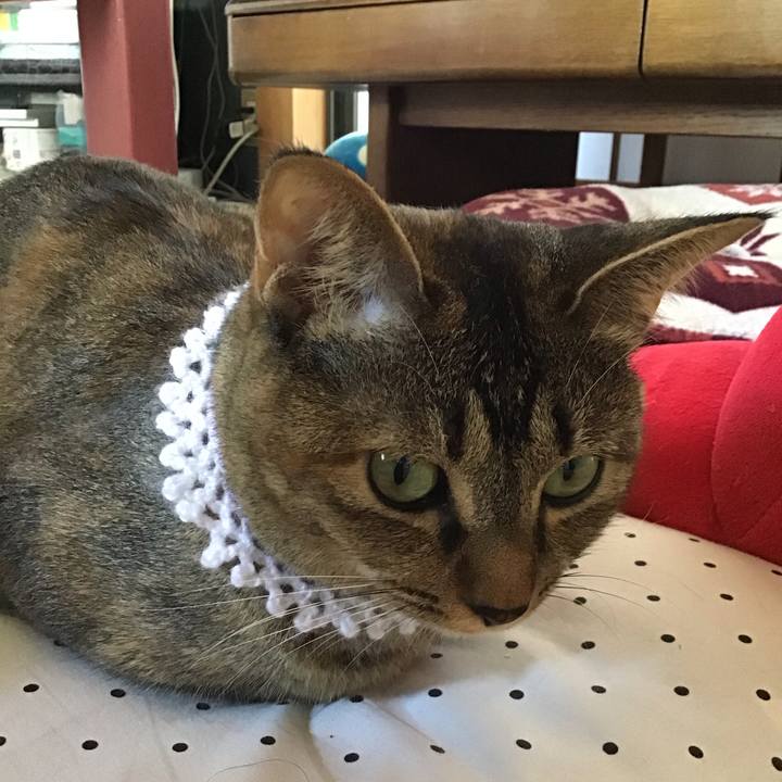 De806985 dfa7 4e86 b782 6a46864d88a7 1598063941126