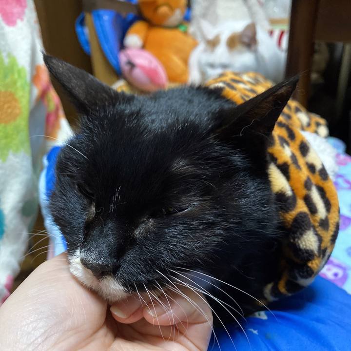 De80b348 fca7 4a63 95dd 5efbcbf8d76b 1642861068652