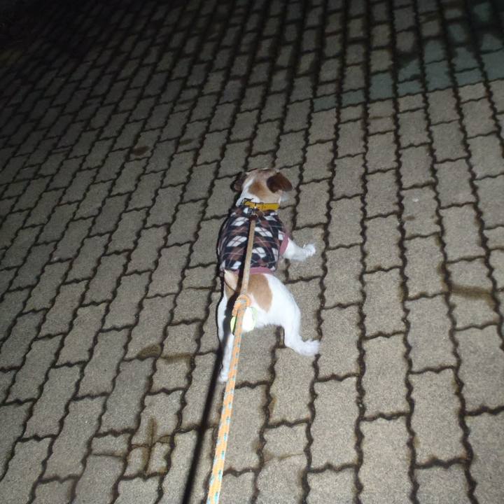 De80b3d2 aa21 44d0 bec9 5a117a16c56e 1512651009967