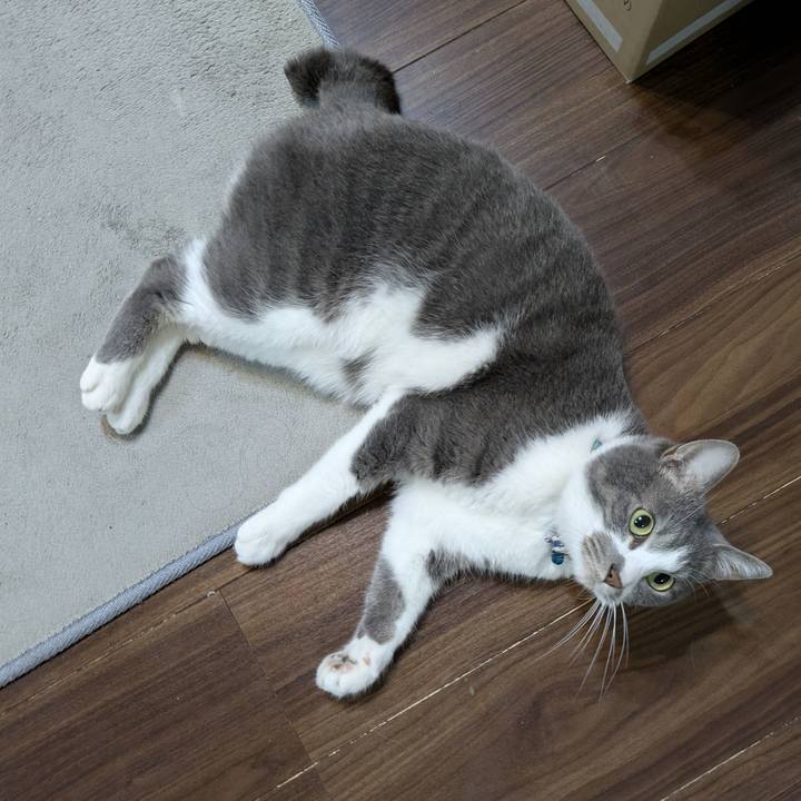 De80ccfb 56d7 4c1e 9a8d 6760b1dc8d3d 1774880583773