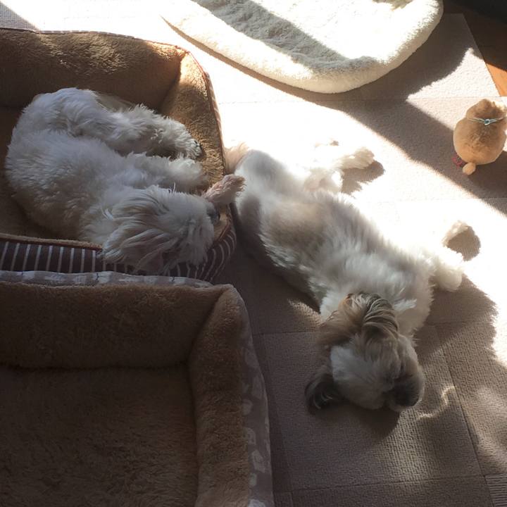 De811762 a851 4286 9d51 2f08212e1de6 1520470625800