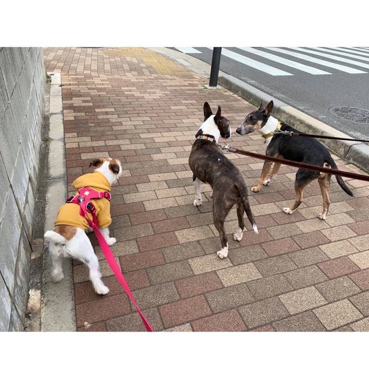 De818384 106c 4b8a 887d 383233fdad67 1581757303339