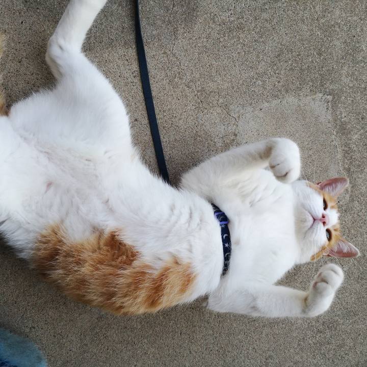 De81cbdd 5391 479c a35d cab634278f2e 1534034307002