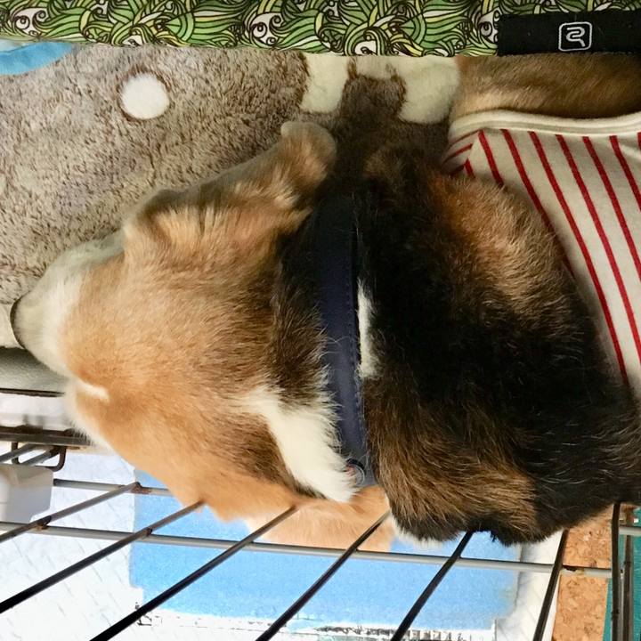 De81d0fc 64eb 499a b5cd e3a58f7a4c20 1566445350340