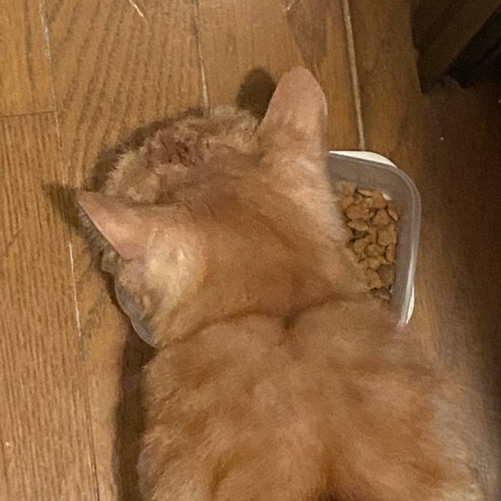 De81f373 29e2 4b0f ad88 af8d6f3a9584 1610924874401