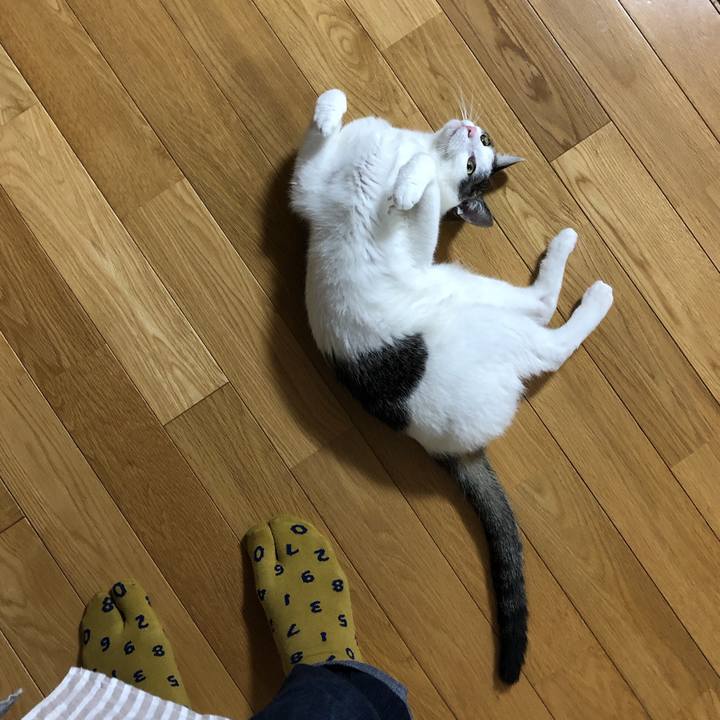 De81fab5 f54c 47a8 9d17 02b7de22f079 1606205962745