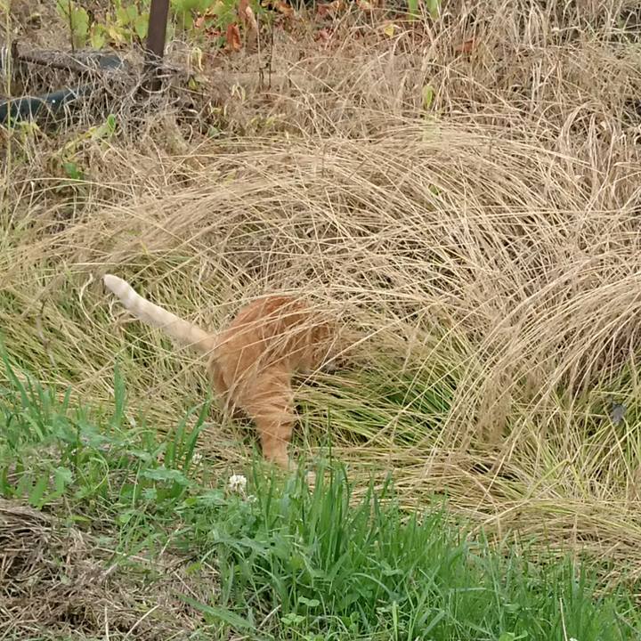 De821dda 0b8b 4098 8b08 993dfc576943 1593930361909