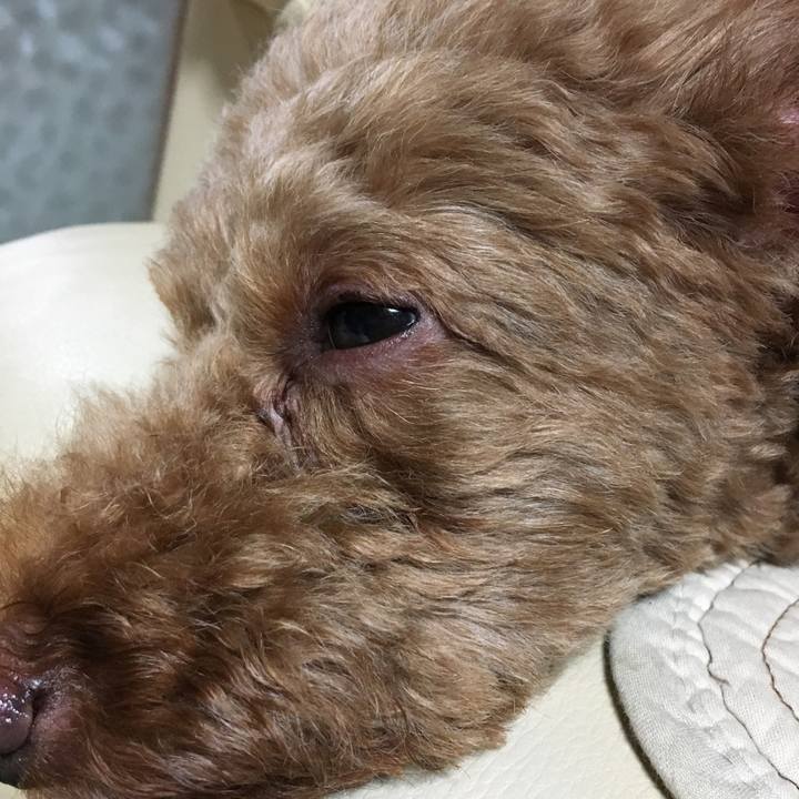 De823758 47ab 4736 938c d738cd0d122b 1534289471729