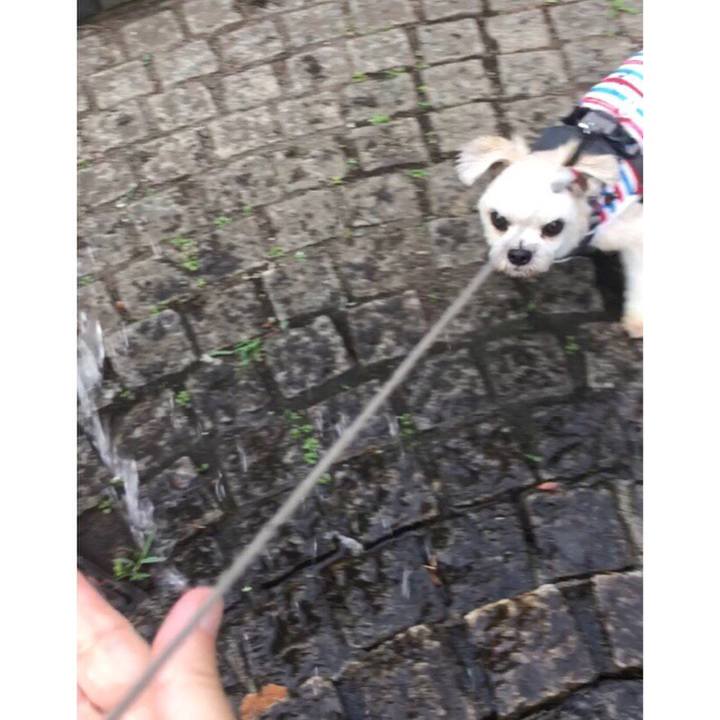 De826486 7cfd 4fb7 8559 273a589de4da 1565266521459