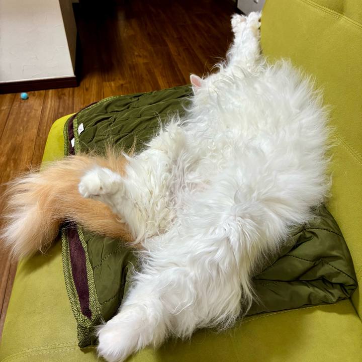 De8264ea d0a1 4135 8684 284fdb215a5f 1773805495037