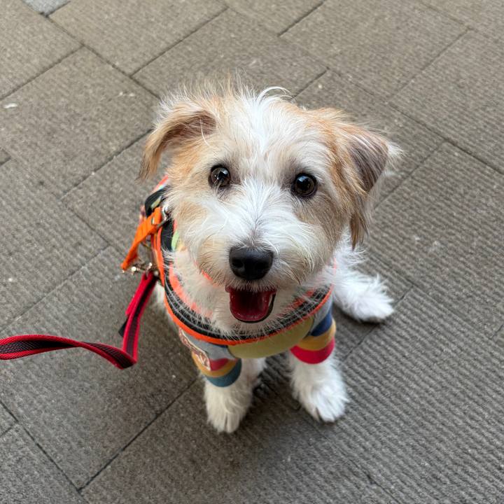 De826773 0e63 4e78 ba28 90064ca28966 1759655883815