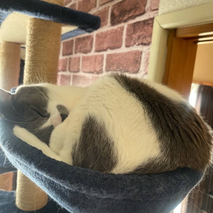 De8268dd df66 4f9e a676 fe8b246f84a9 1703552274885