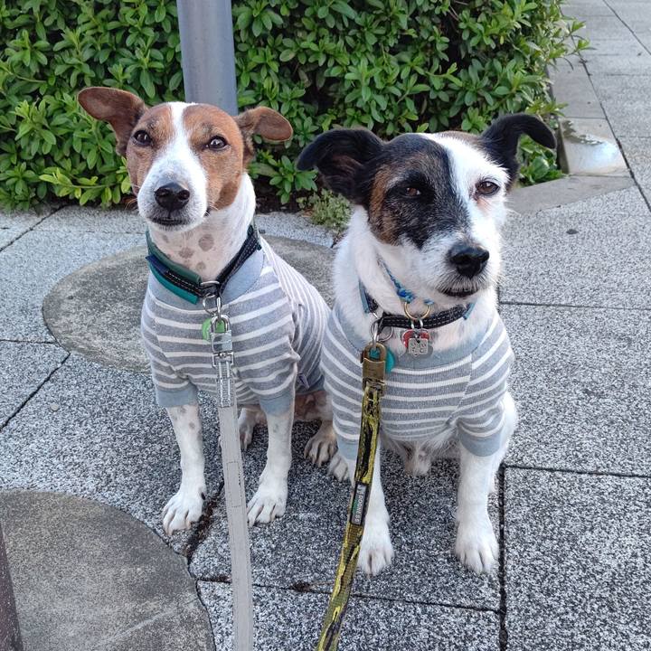 De82d2f8 749e 4257 bbcb fe121ab77df4 1699396186535