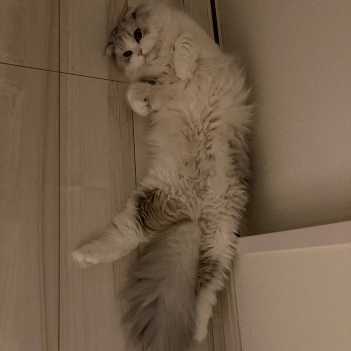 De82d5f2 fc64 4569 93ec e2b4f5699f44 1625490366096