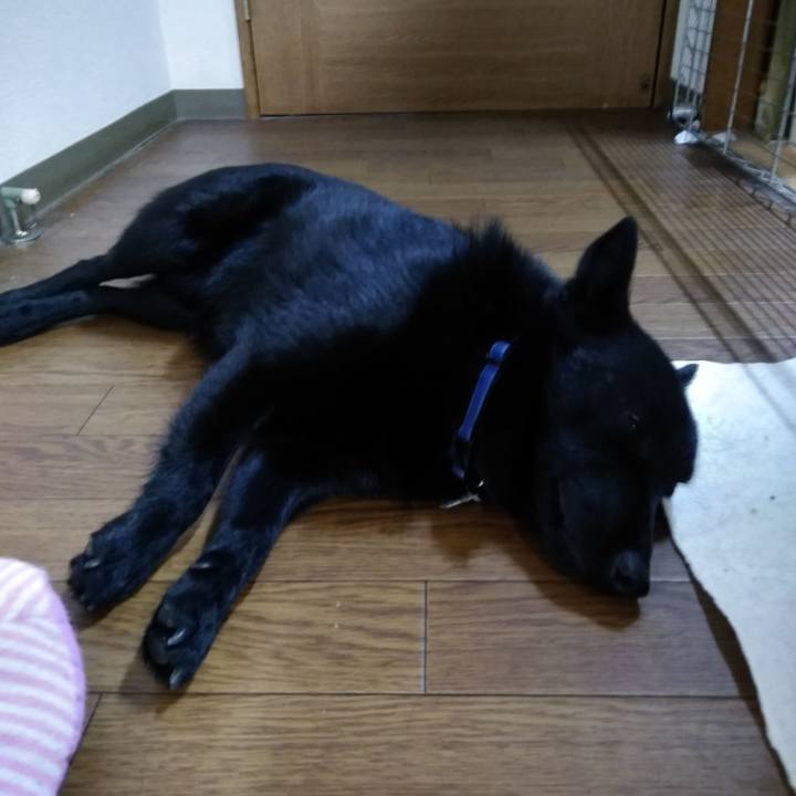 De8302d6 89bc 4ad5 8088 8f8b79d5d18e 1551568133852