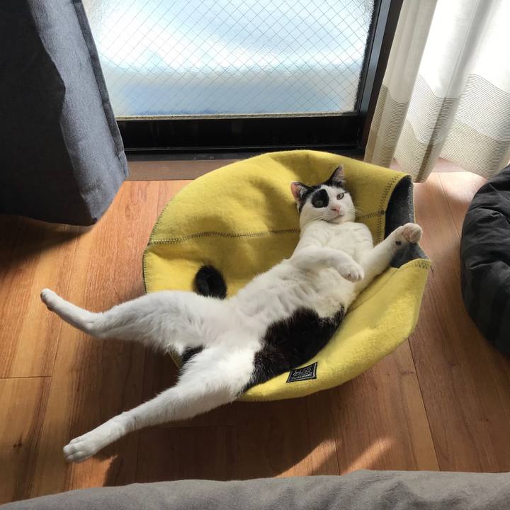 De833cca 382d 4009 894d 97ab8812f7b7 1523839075447