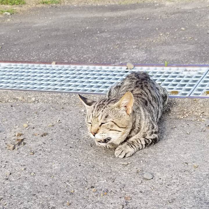 De836c89 1078 4756 befe 0ea50ed018c4 1599228107548