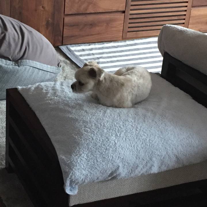 De837f21 b63d 464a b1cc 61e9c2a08a7d 1529035991885