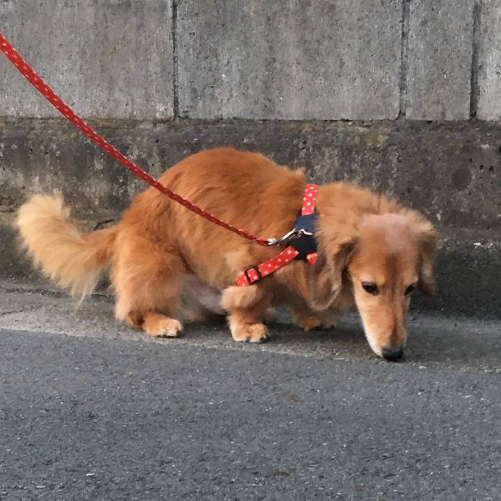 De8387ec 1cf6 419b ad74 f0b23675e5f0 1629631781495