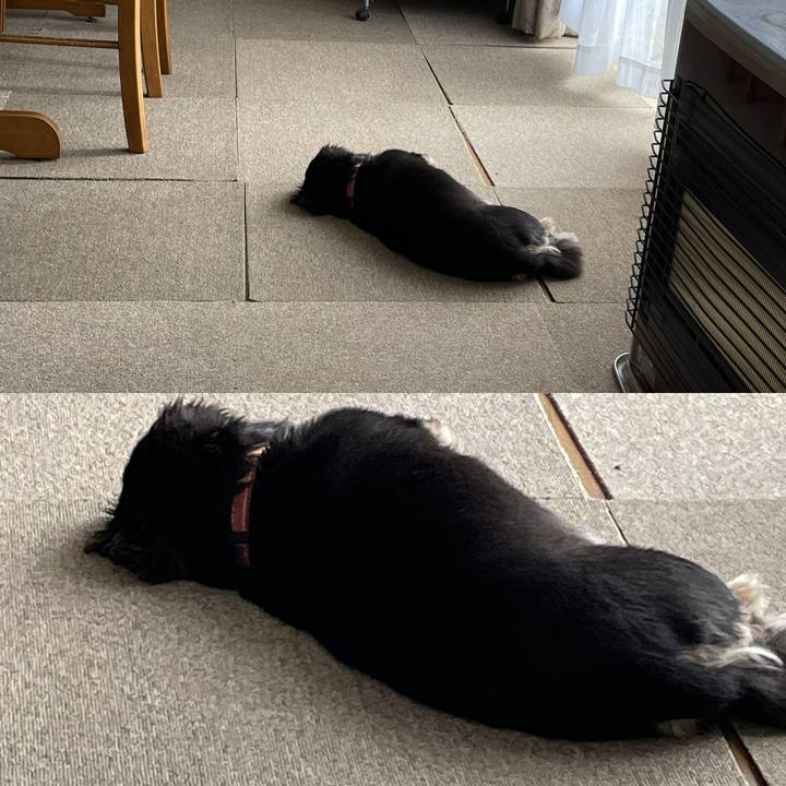 De83c869 ef3a 4300 84a5 7b8977495280 1629088555356