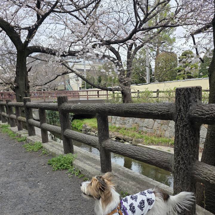 De83e7d8 a5d1 461a 96b2 bbd37a875d41 1773915699674