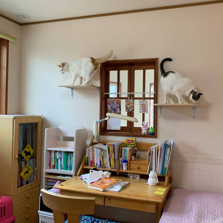 De83eb2b db2d 447a 9ff6 f9de9ef7df37 1634432342897