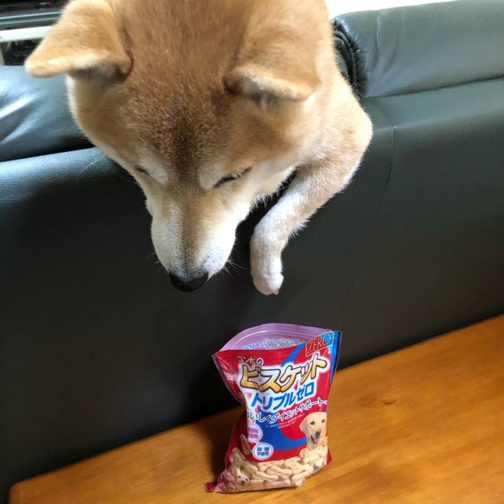 De83ec46 5ac0 4609 8687 c0386b7b7b02 1579437424985