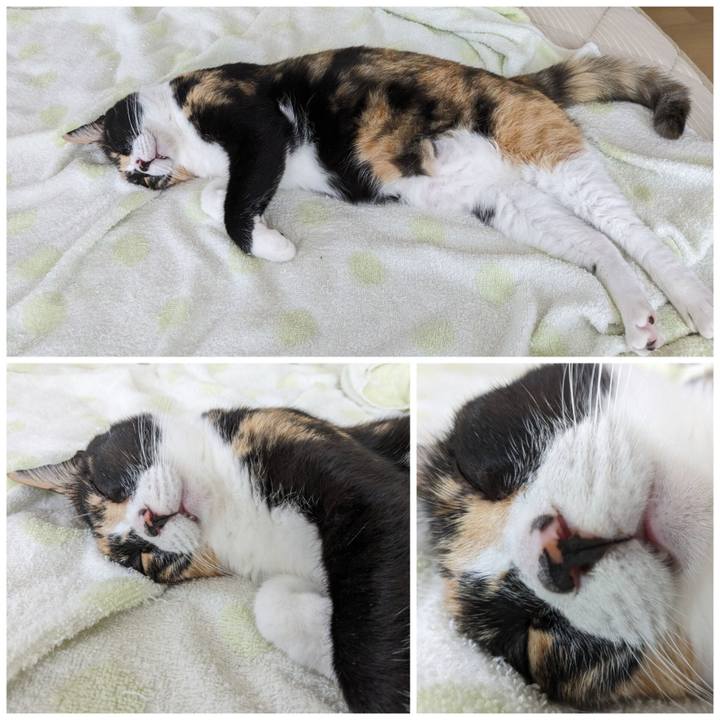 De83eced 4386 4b93 8ac5 49772bb8c56a 1693800888452