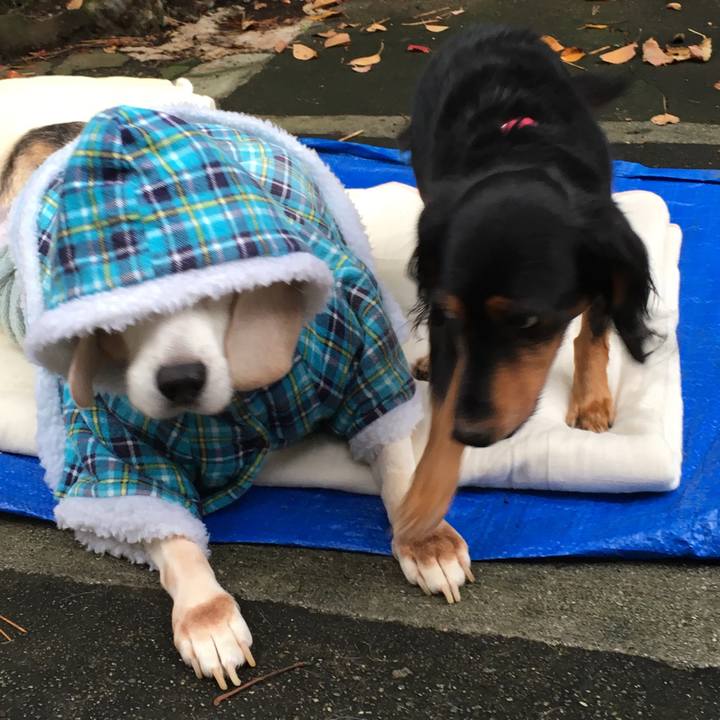 De840186 f223 4bc6 bee7 833404c1c0a7 1510806436585