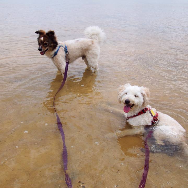 De8454dc 9562 4857 a3e8 0a359d4baee2 1530674402045