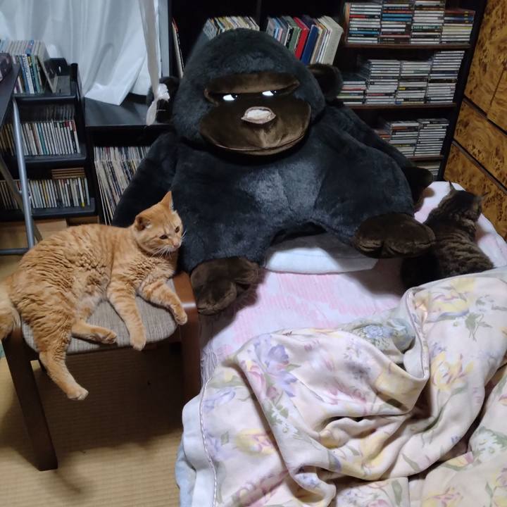 De845650 c92c 432b 90c1 ae963d37ab8d 1687176005297