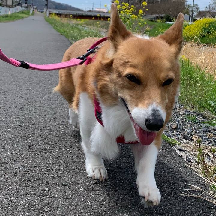 De84602f 3f20 4901 8c31 362bd4a0a7f2 1712199870641