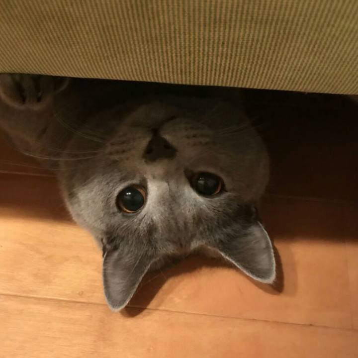 De847aed 9776 4436 b9ce b574103efcf0 1511316043249