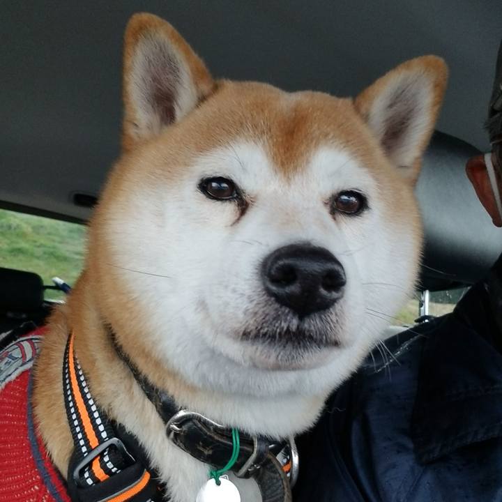 De847fe8 c22c 436b aaf8 676f32d71b18 1607753199148