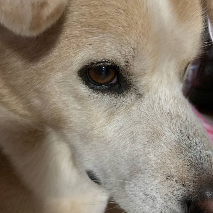 De848c7c 1ad3 4e1f 8917 523e74cb353c 1663986161320