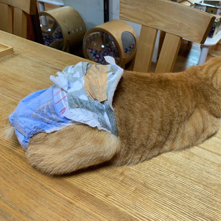 De84a595 889f 4c21 9f2e 9c33eaacb042 1665717827217