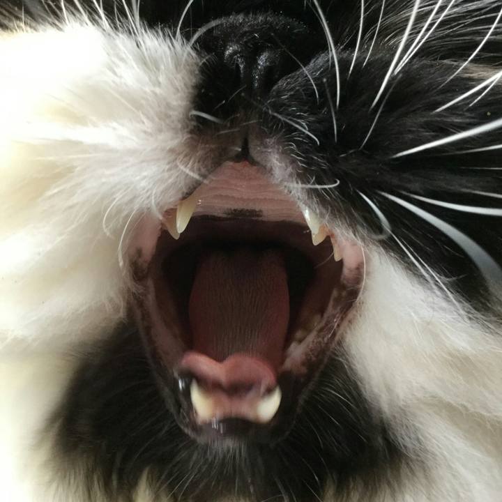 De84e7d0 bccc 4589 832e 443c728cc208 1518834140179