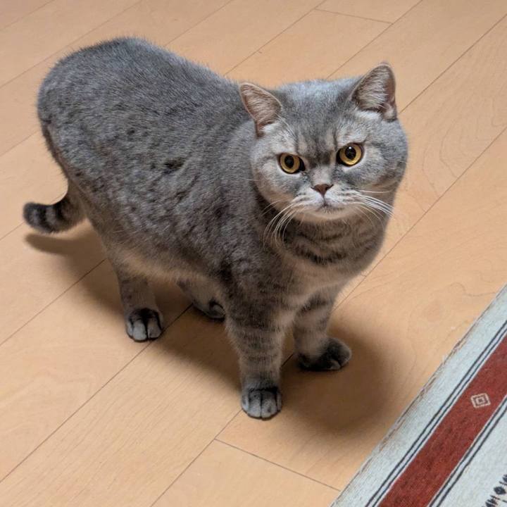 De84f528 b97e 4433 8eb7 0516afd4b90c 1765258882590