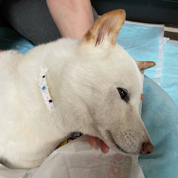 De84feec d8d9 4025 9375 4835ff76b747 1651158723674