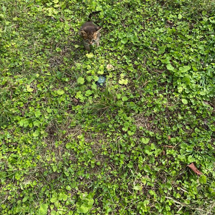 De8521a0 a6e6 424d b5ad 3b8cfa106705 1634543034920