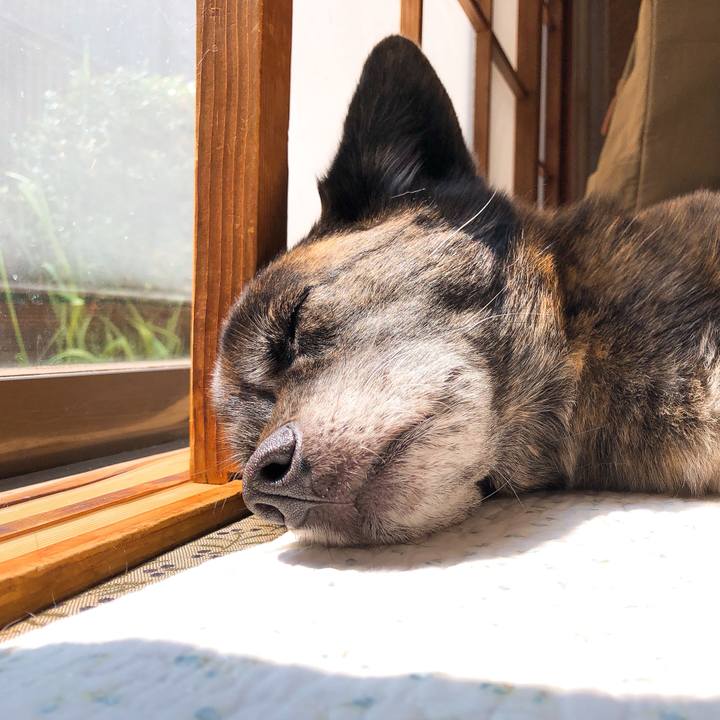 De85256a 812c 4736 940a 7483842c74ce 1586408497703